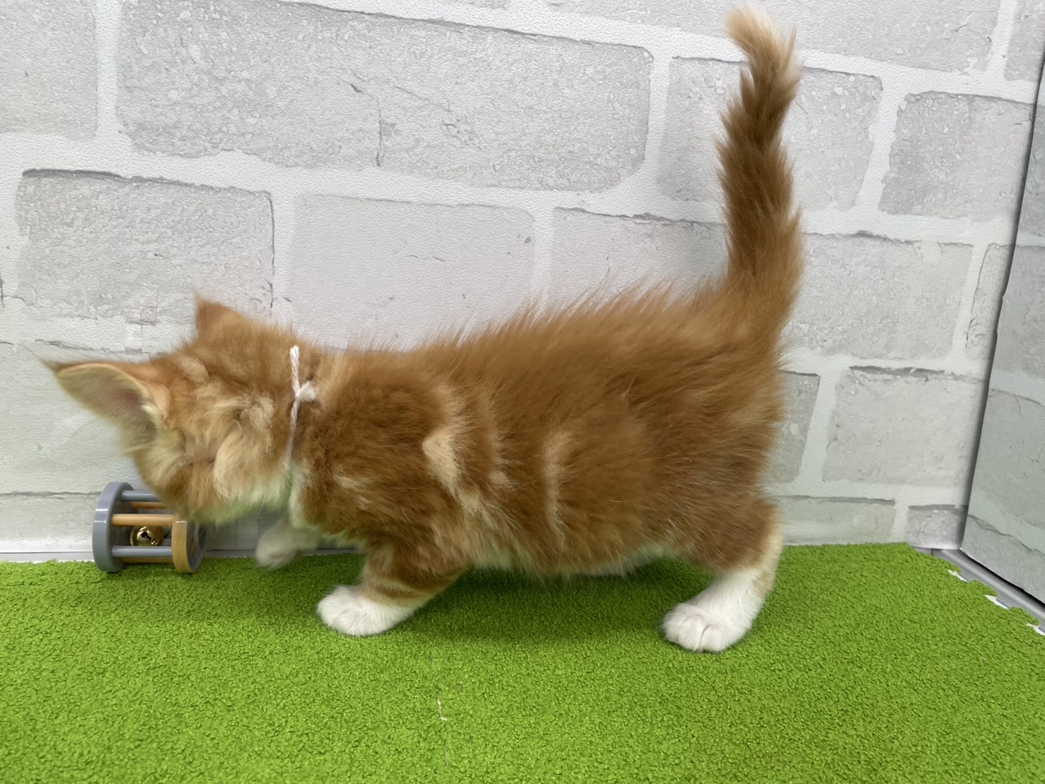 赤ちゃん写真3-2