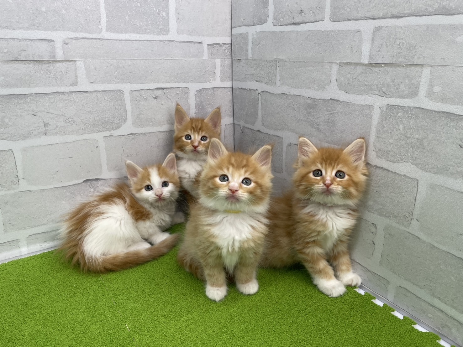 赤ちゃん写真3-3