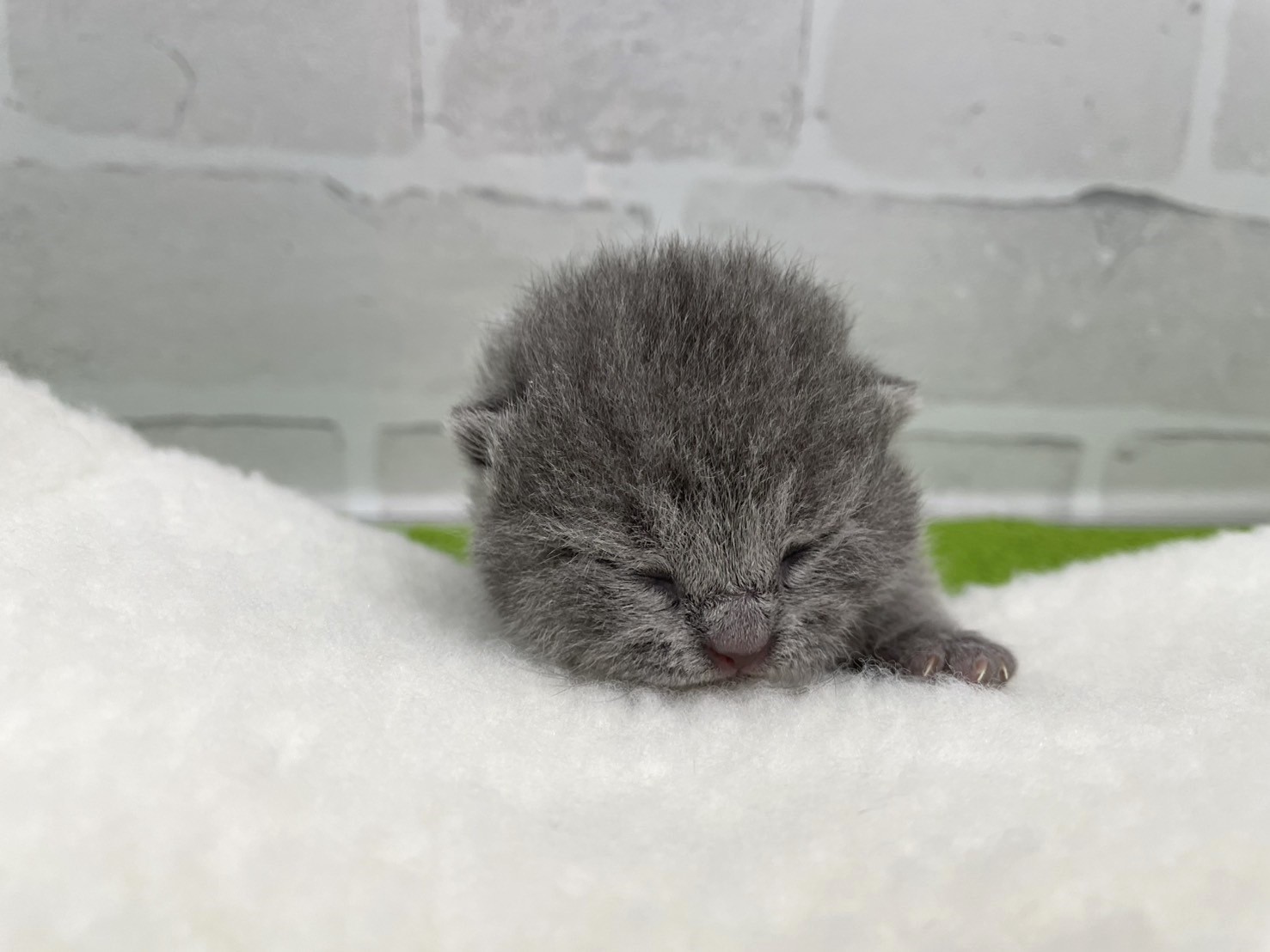 赤ちゃん写真1-1