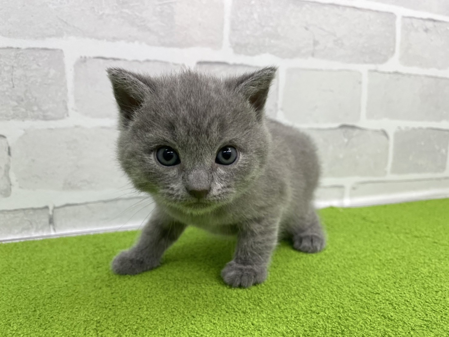 赤ちゃん写真2-1