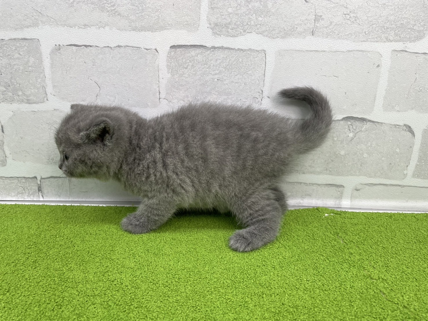 赤ちゃん写真2-2