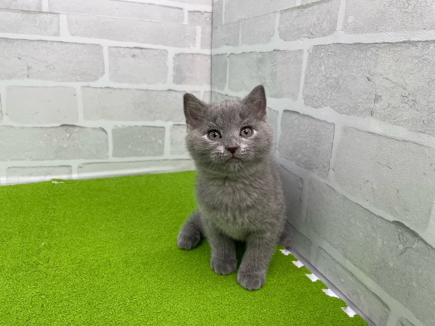 赤ちゃん写真3-1