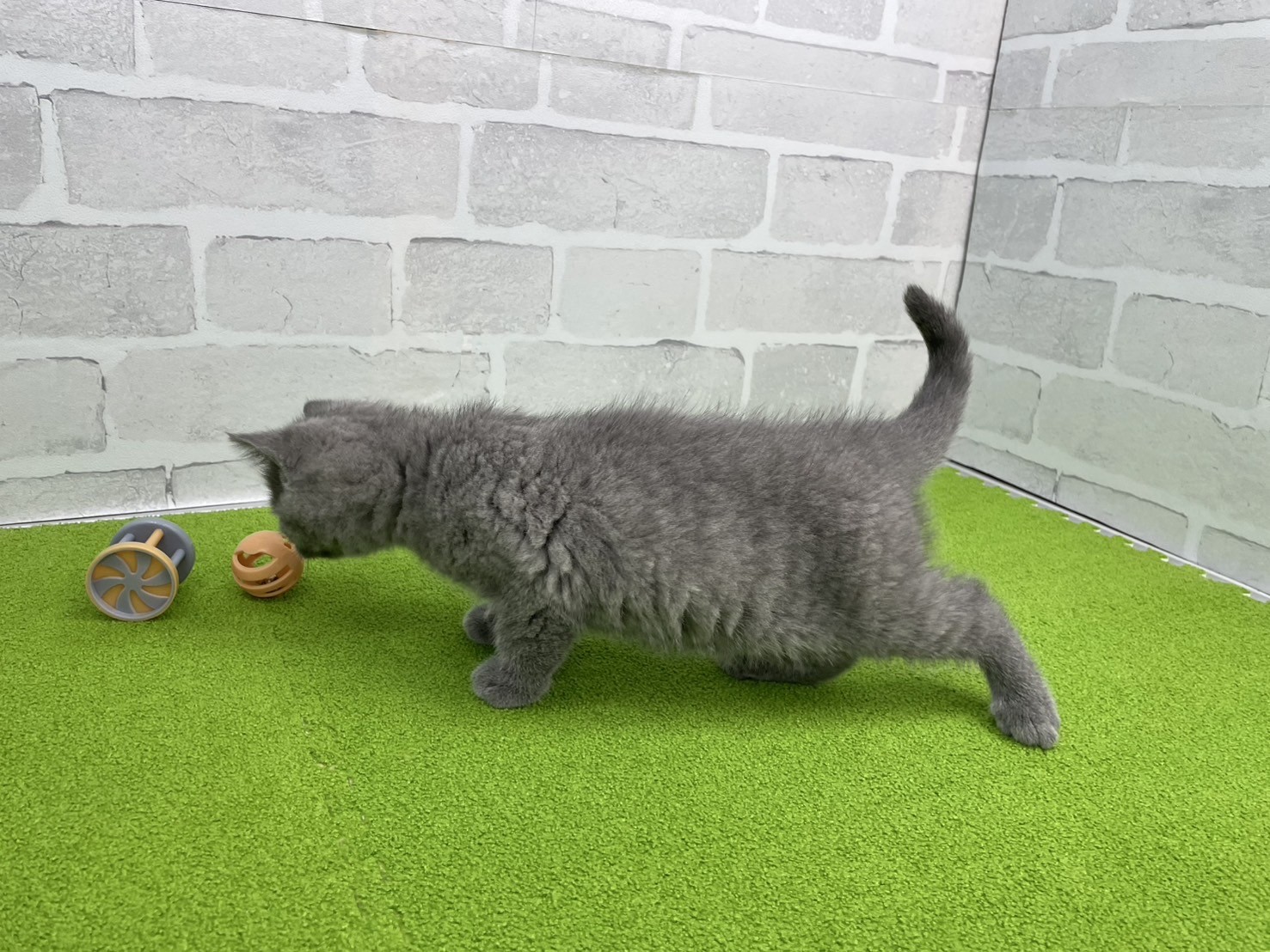 赤ちゃん写真3-2