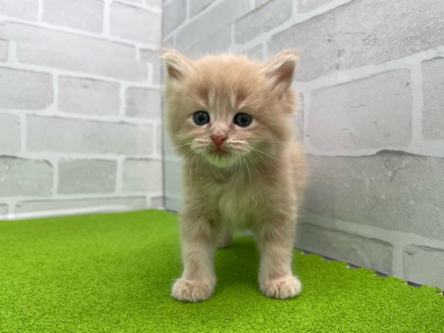 赤ちゃん写真2-1