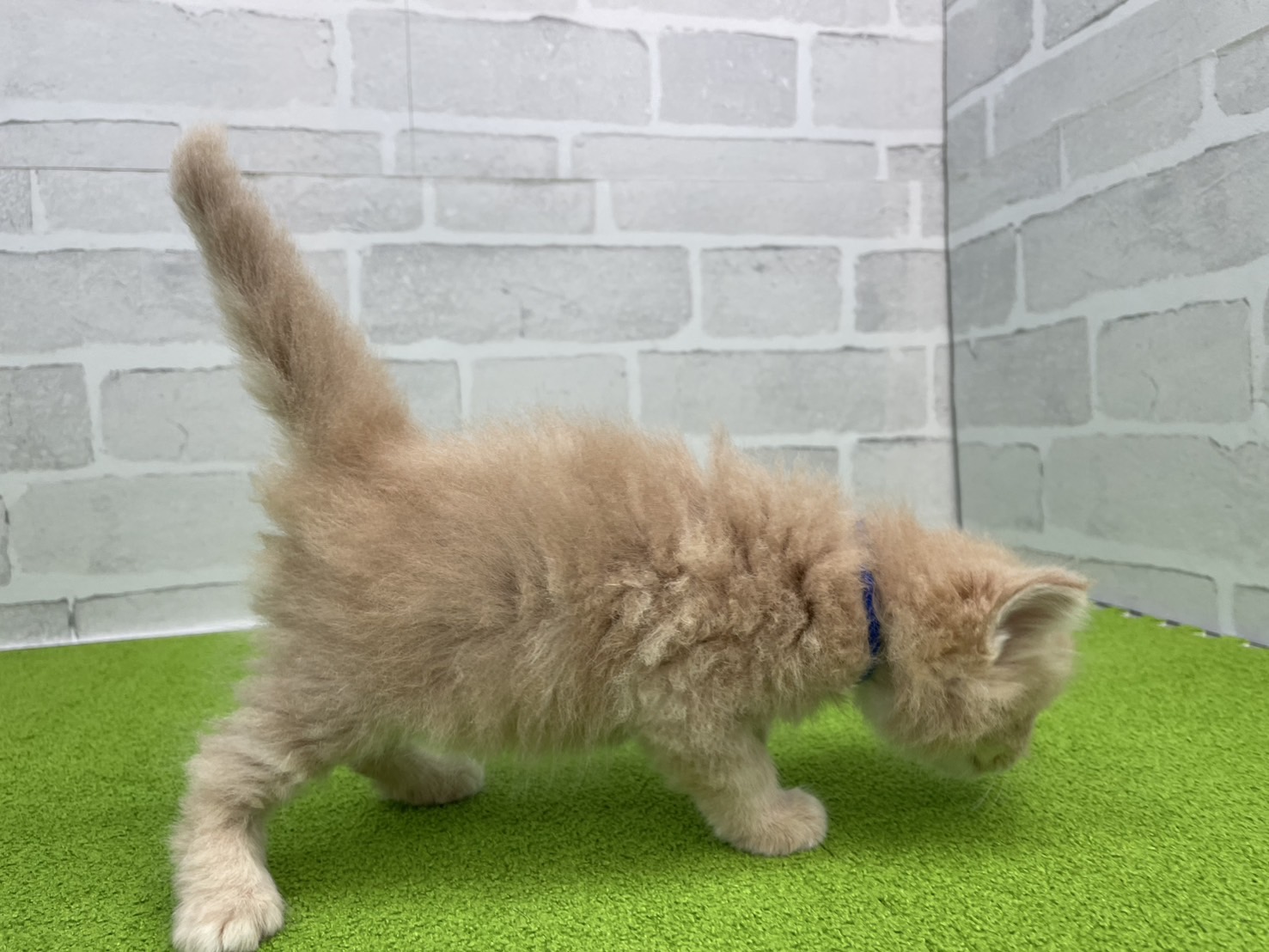 赤ちゃん写真2-2