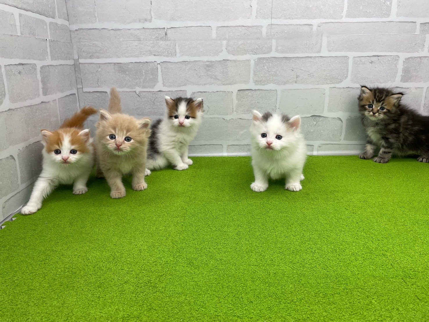 赤ちゃん写真2-3