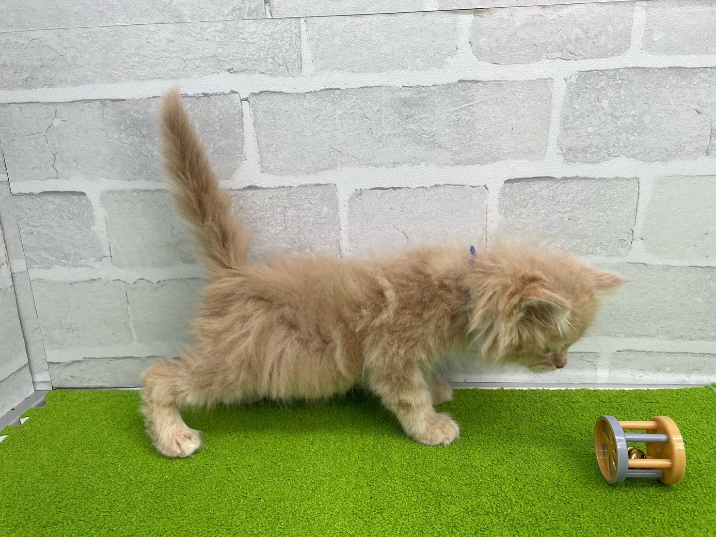 赤ちゃん写真3-2