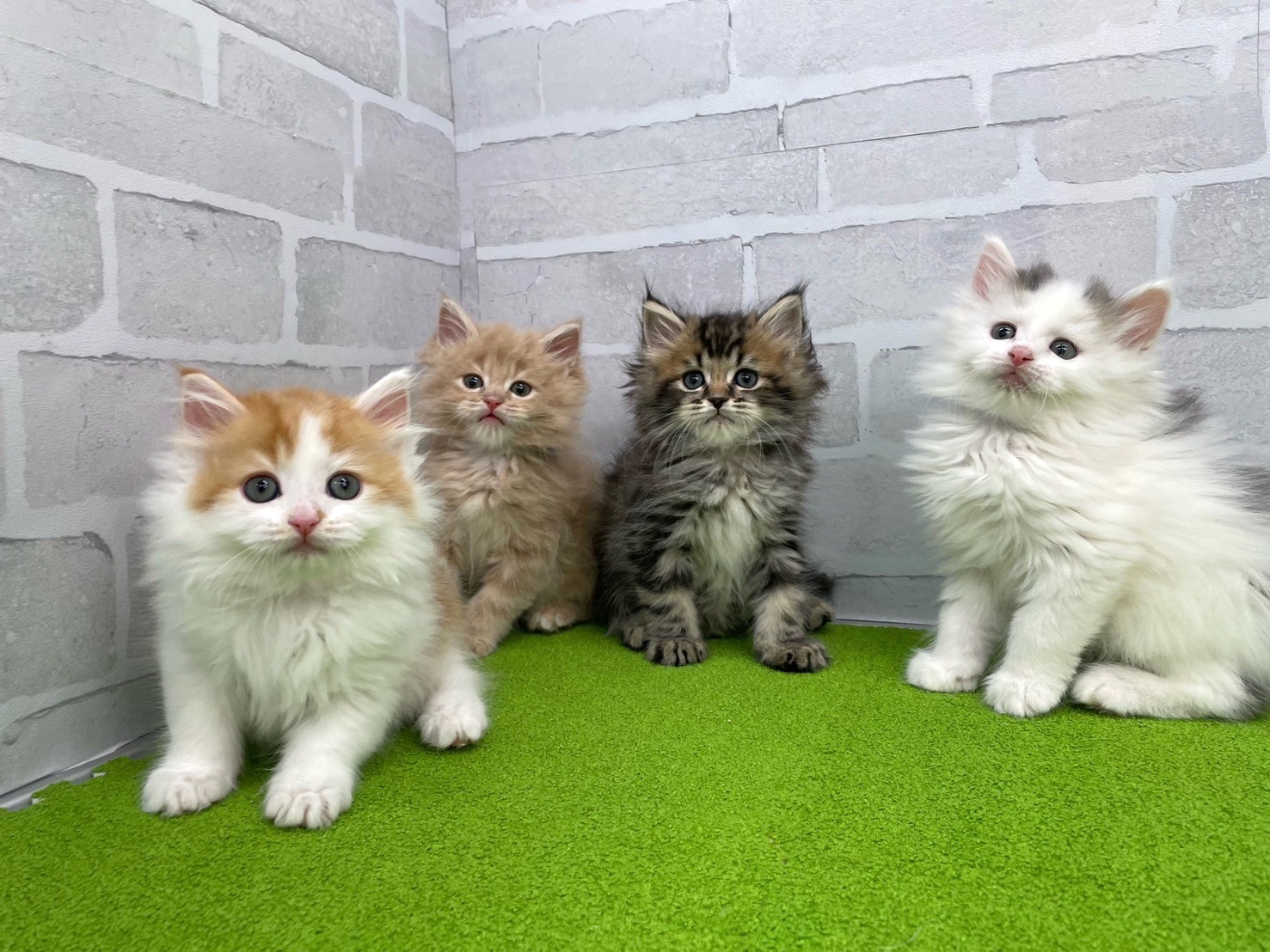 赤ちゃん写真3-3