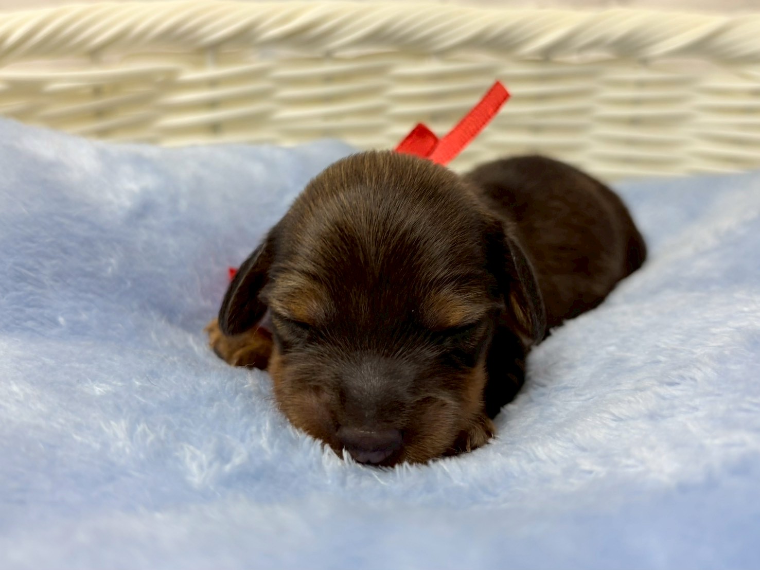 赤ちゃん写真1-1