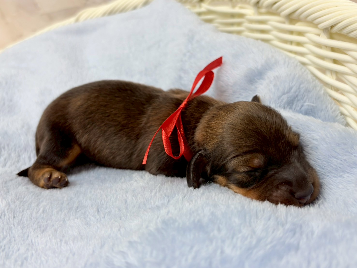 赤ちゃん写真1-2