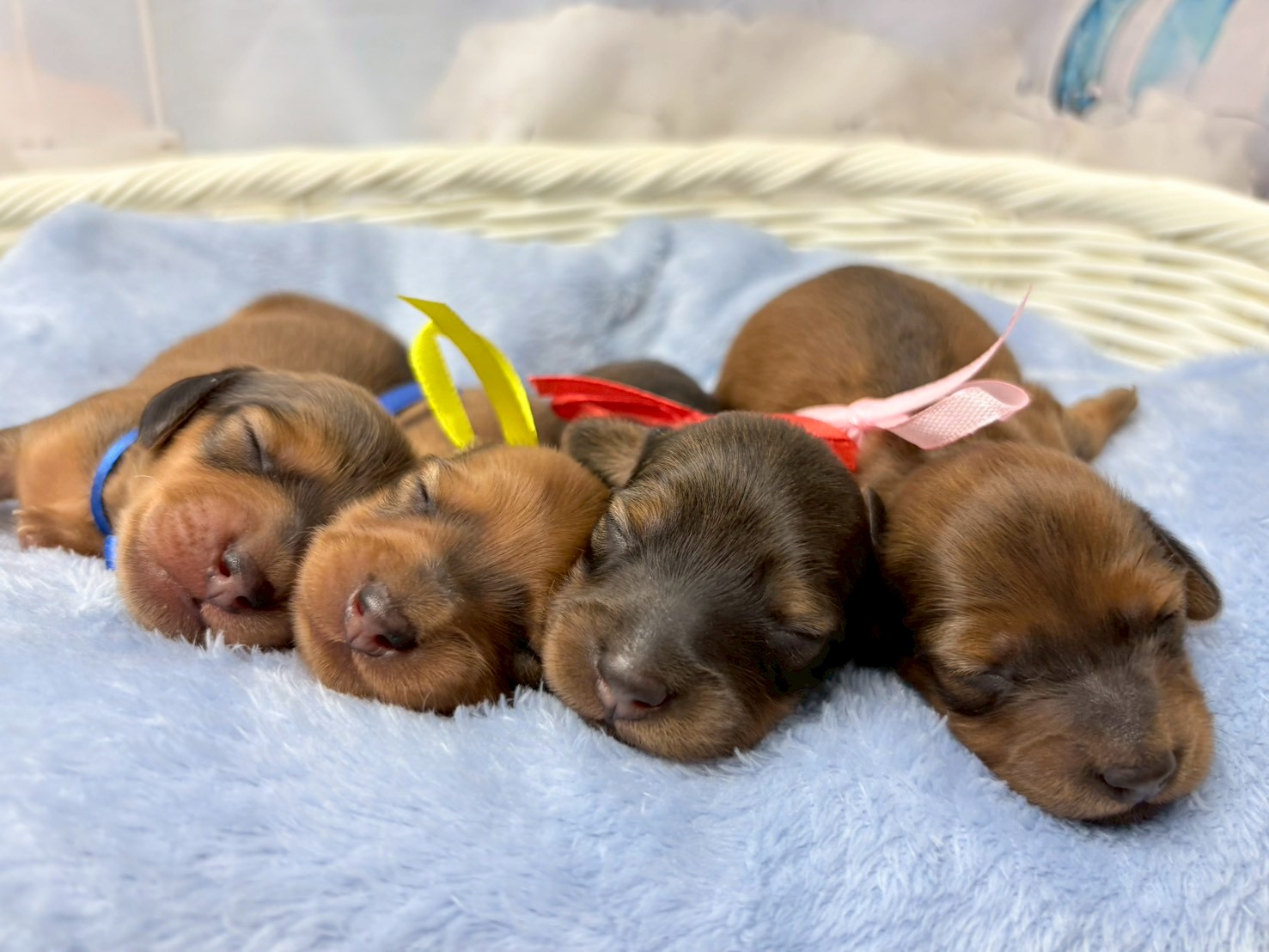 赤ちゃん写真1-3