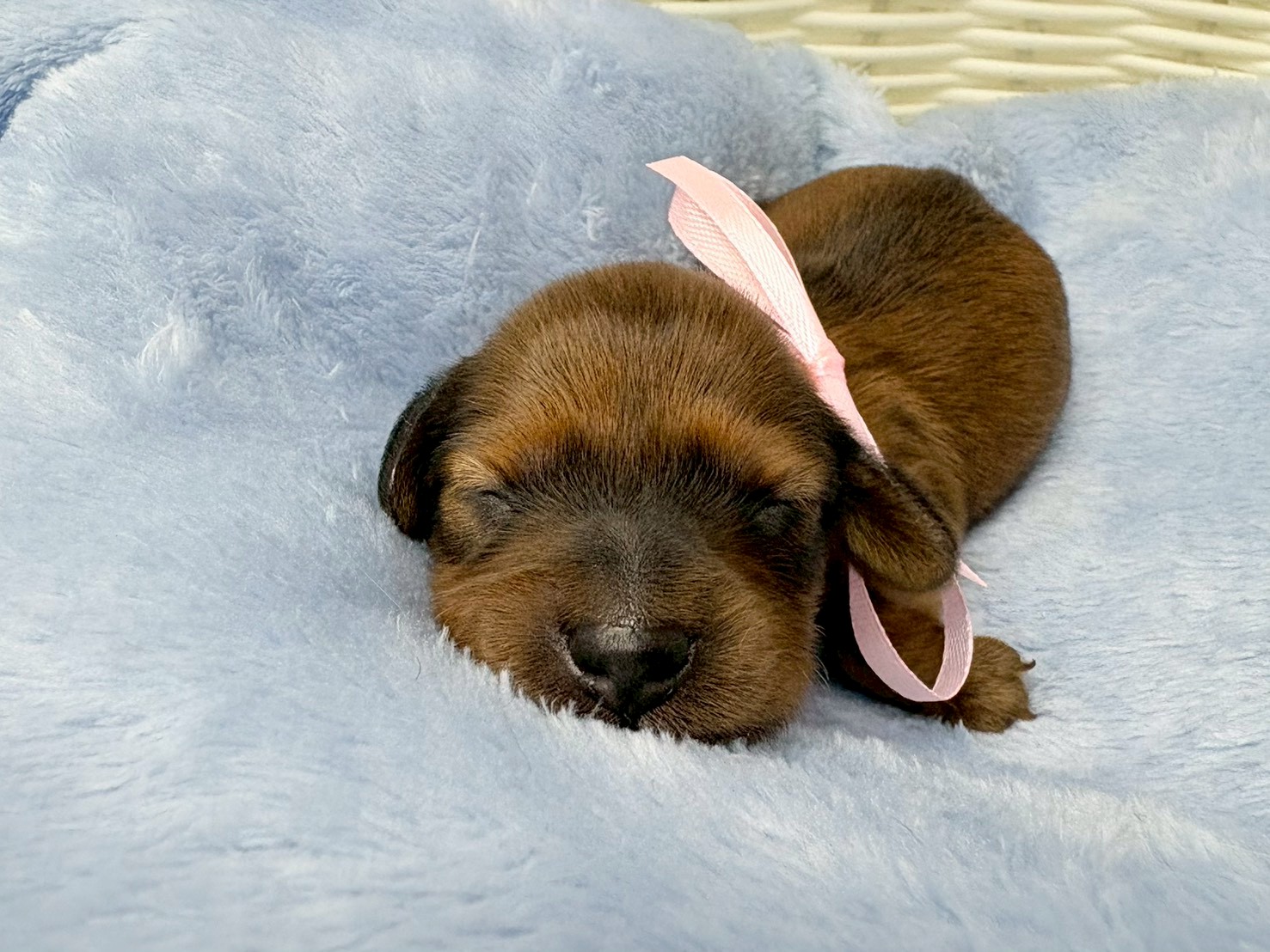 赤ちゃん写真1-1