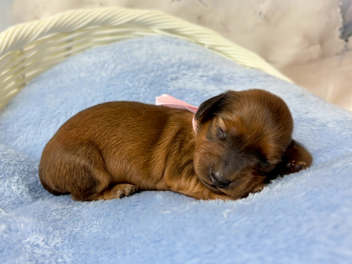 赤ちゃん写真1-2