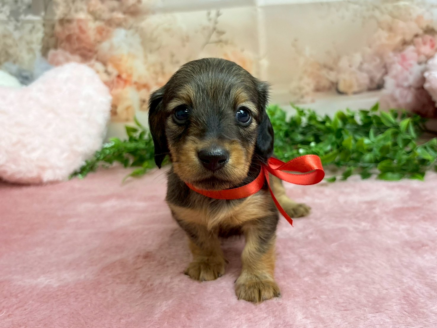 赤ちゃん写真2-1