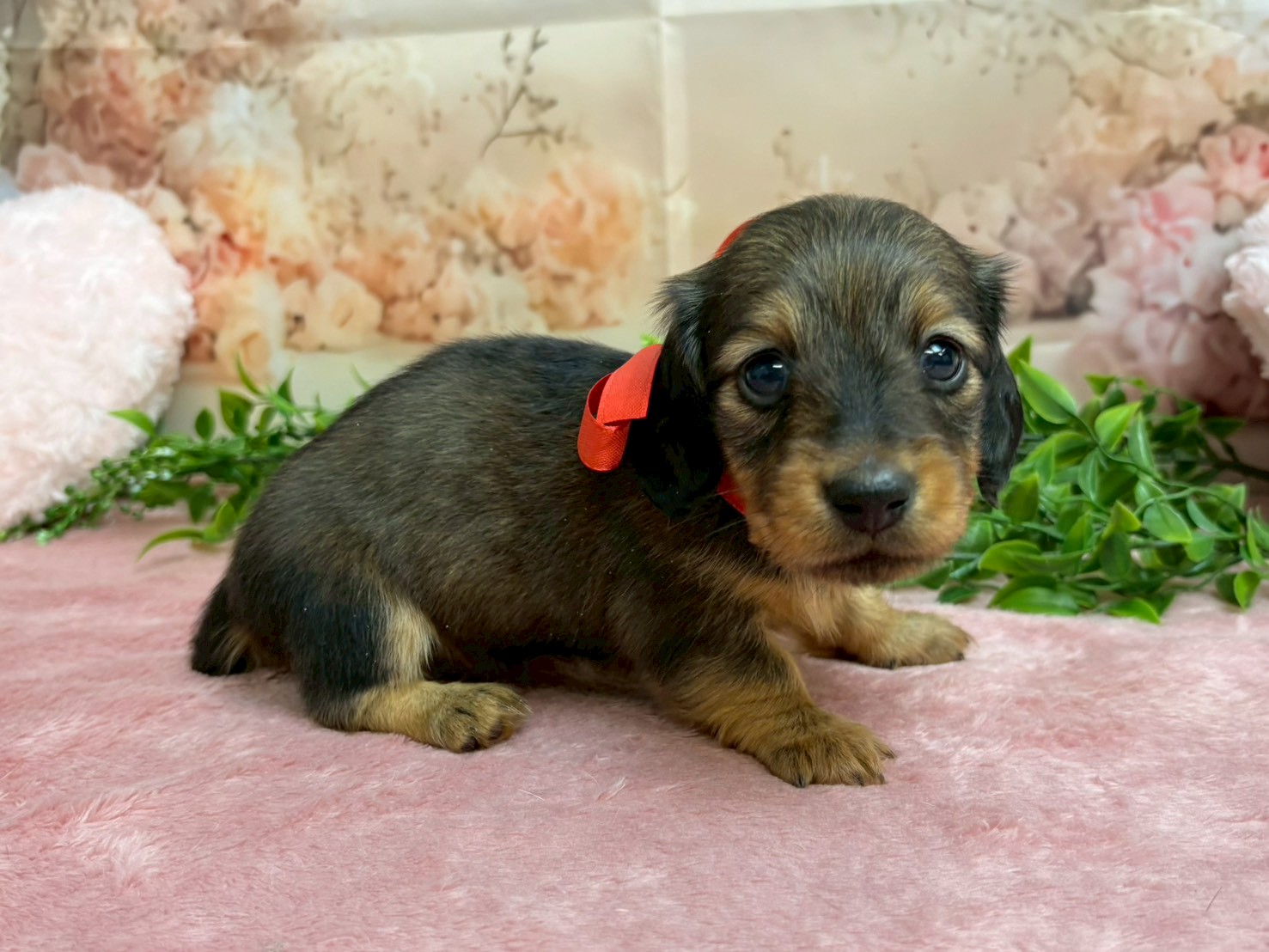 赤ちゃん写真2-2