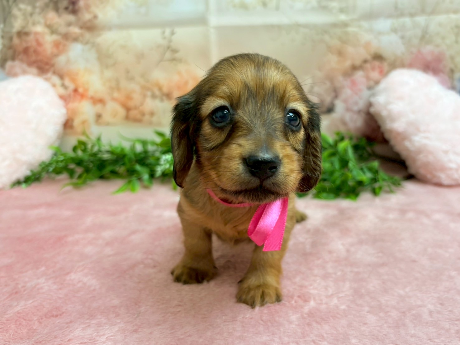 赤ちゃん写真2-1