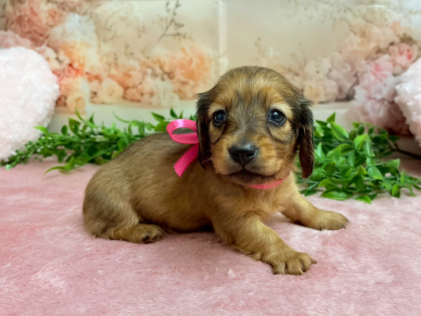 赤ちゃん写真2-2