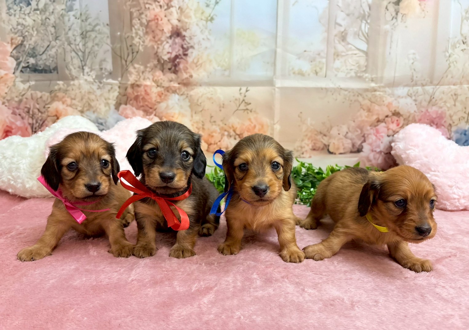 赤ちゃん写真2-3