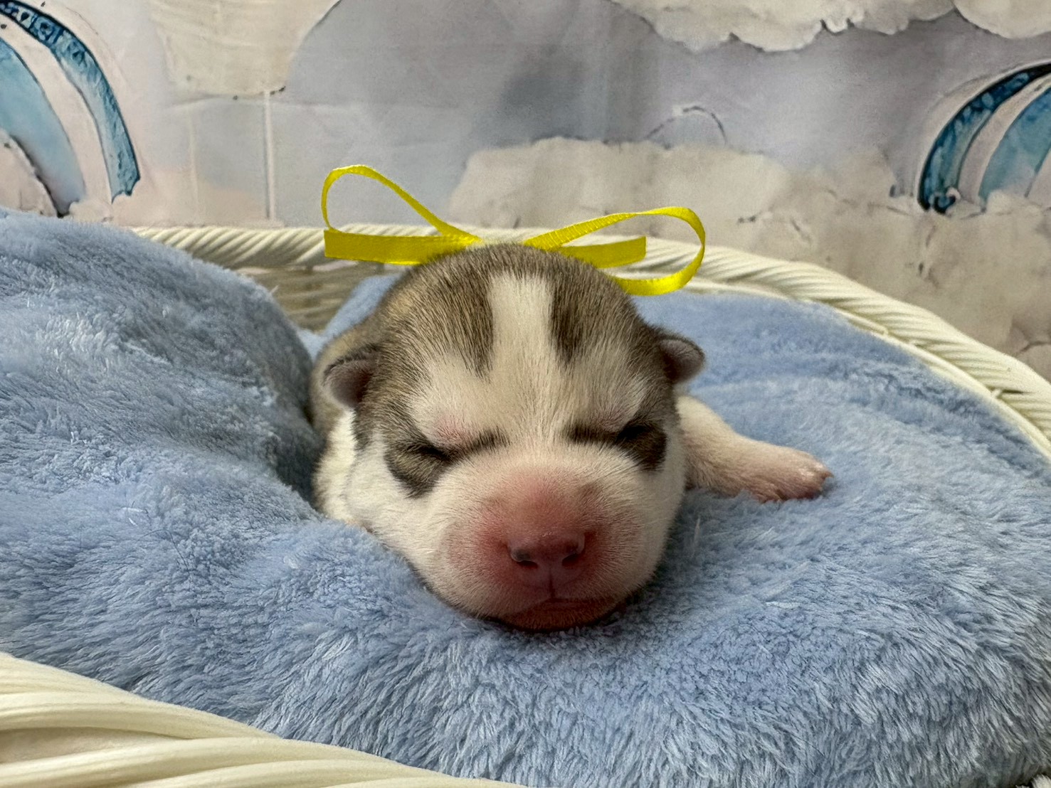 赤ちゃん写真1-1