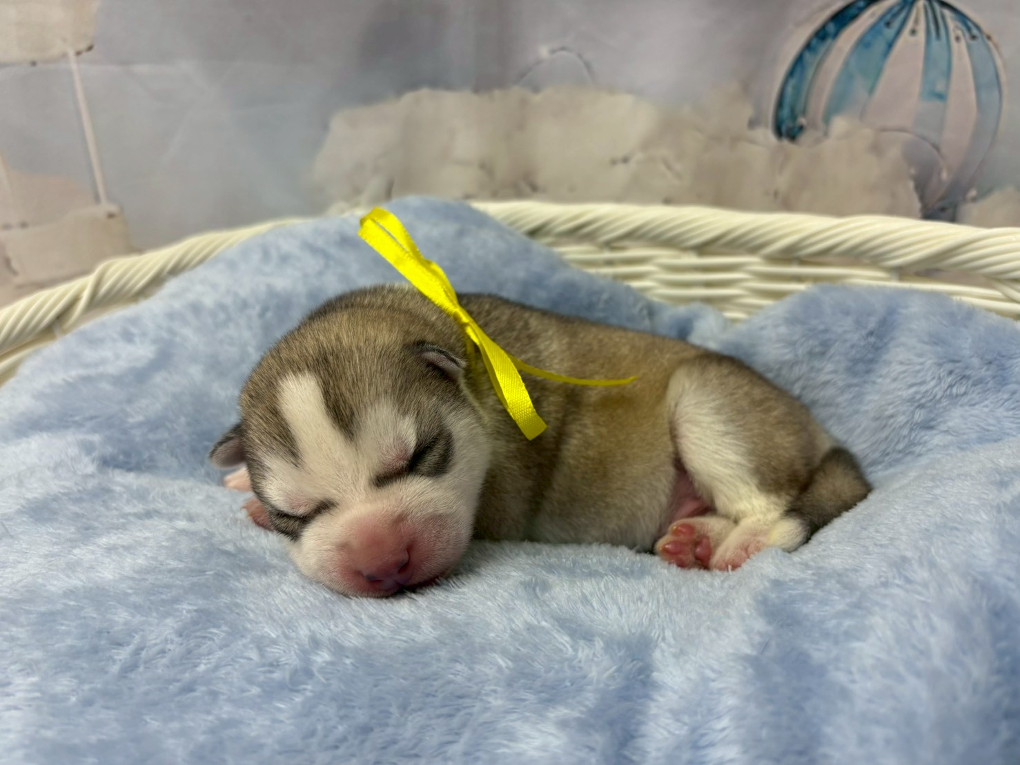 赤ちゃん写真1-2