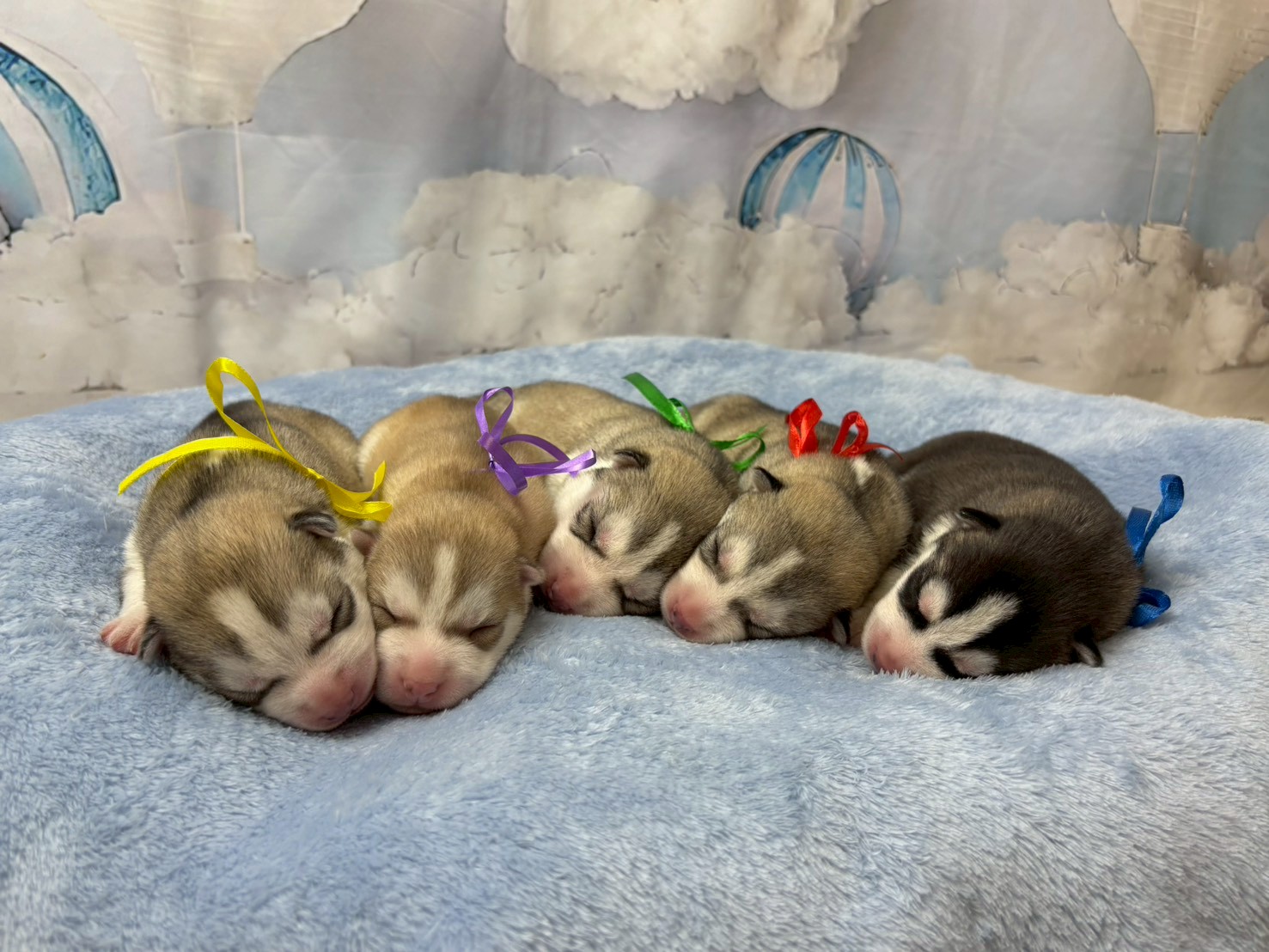 赤ちゃん写真1-3