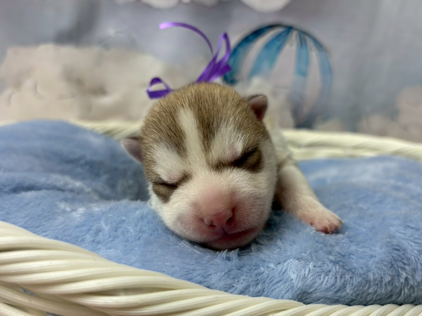 赤ちゃん写真1-1