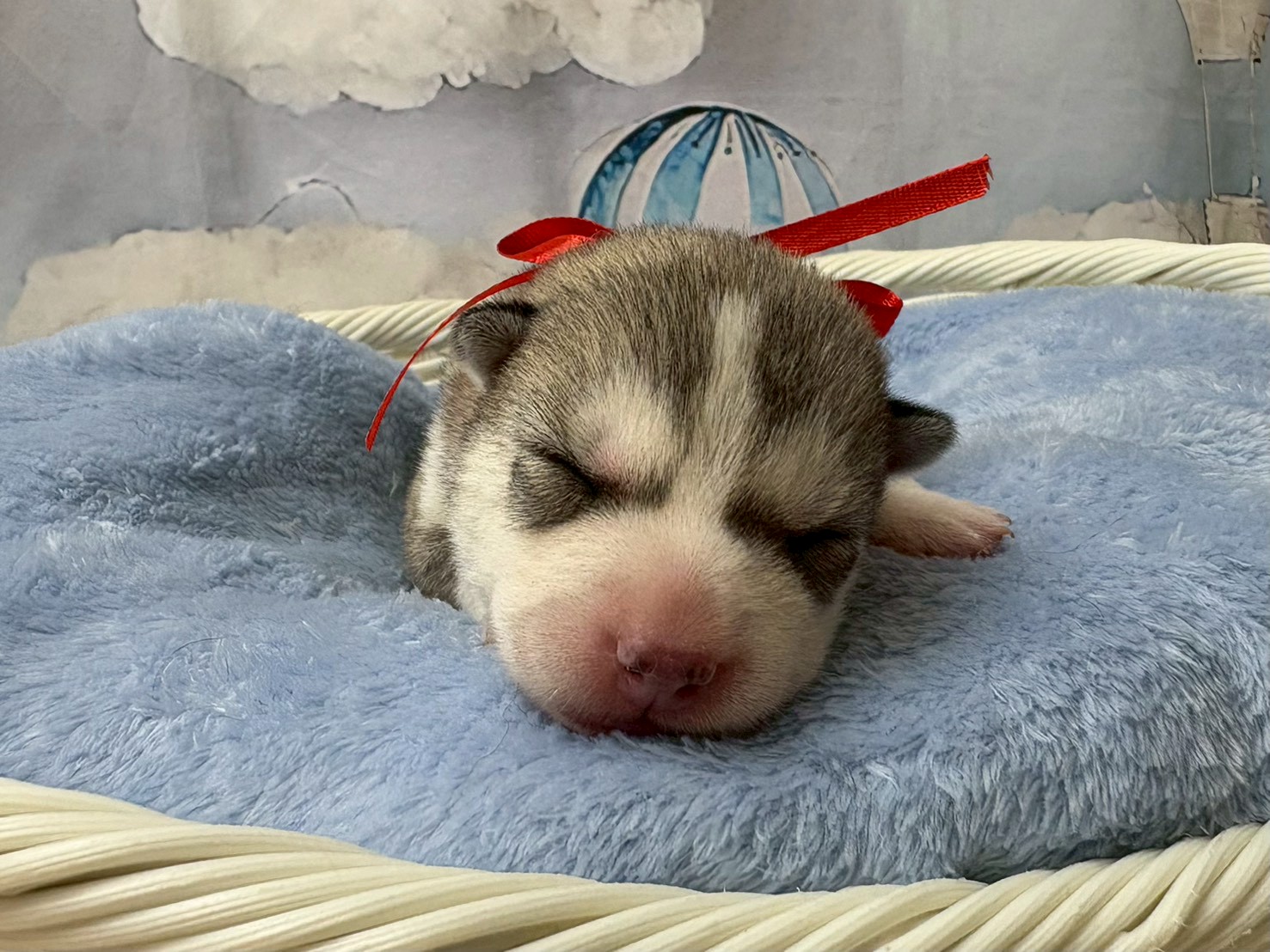 赤ちゃん写真1-1