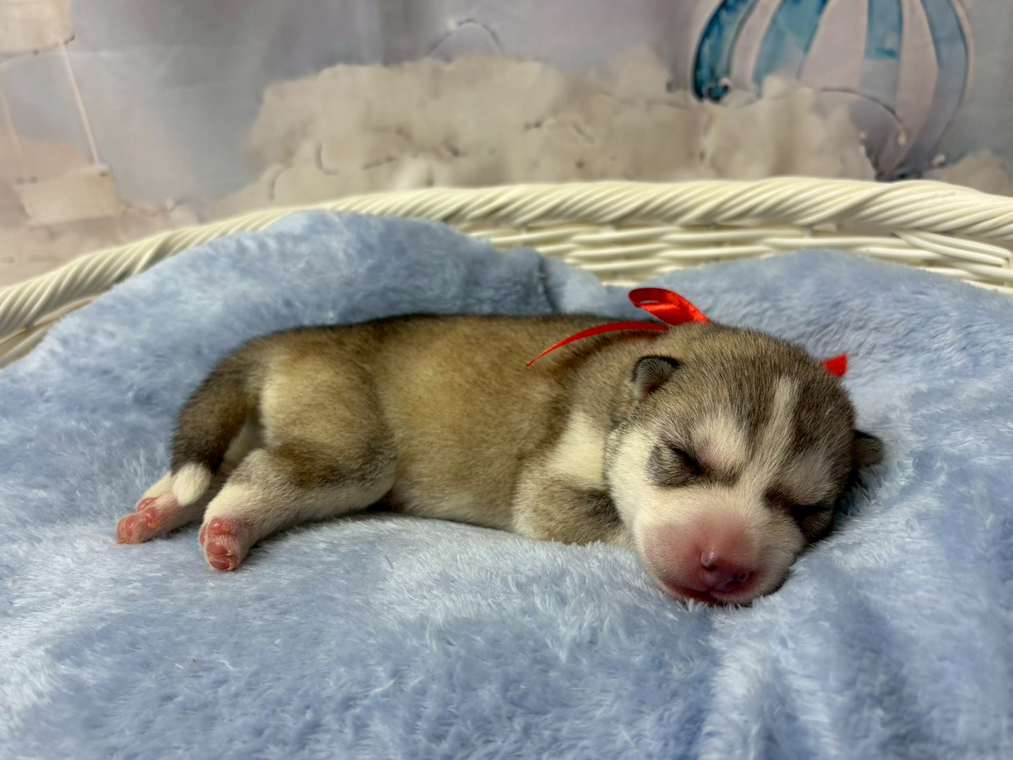 赤ちゃん写真1-2