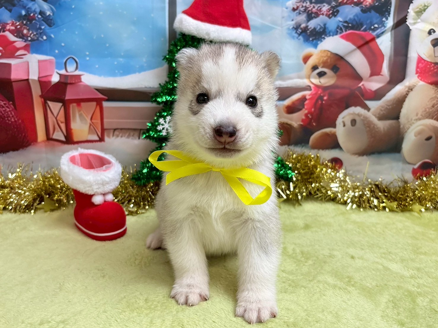 赤ちゃん写真2-1