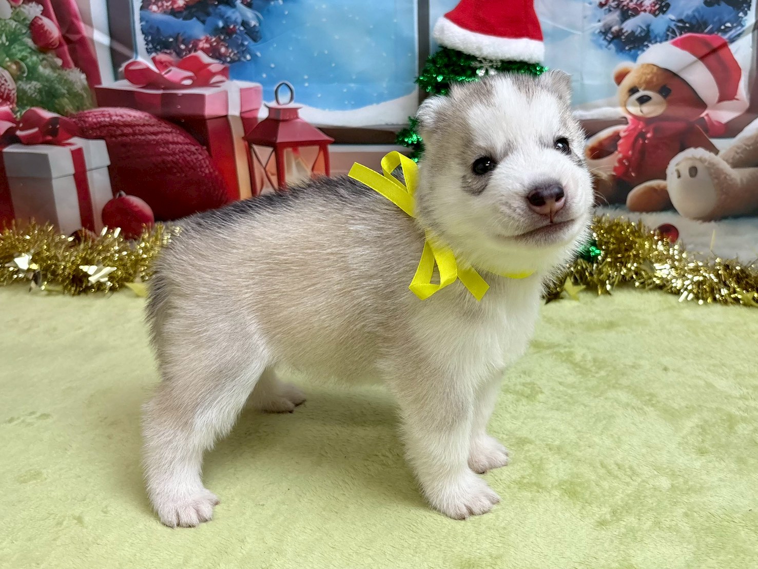 赤ちゃん写真2-2