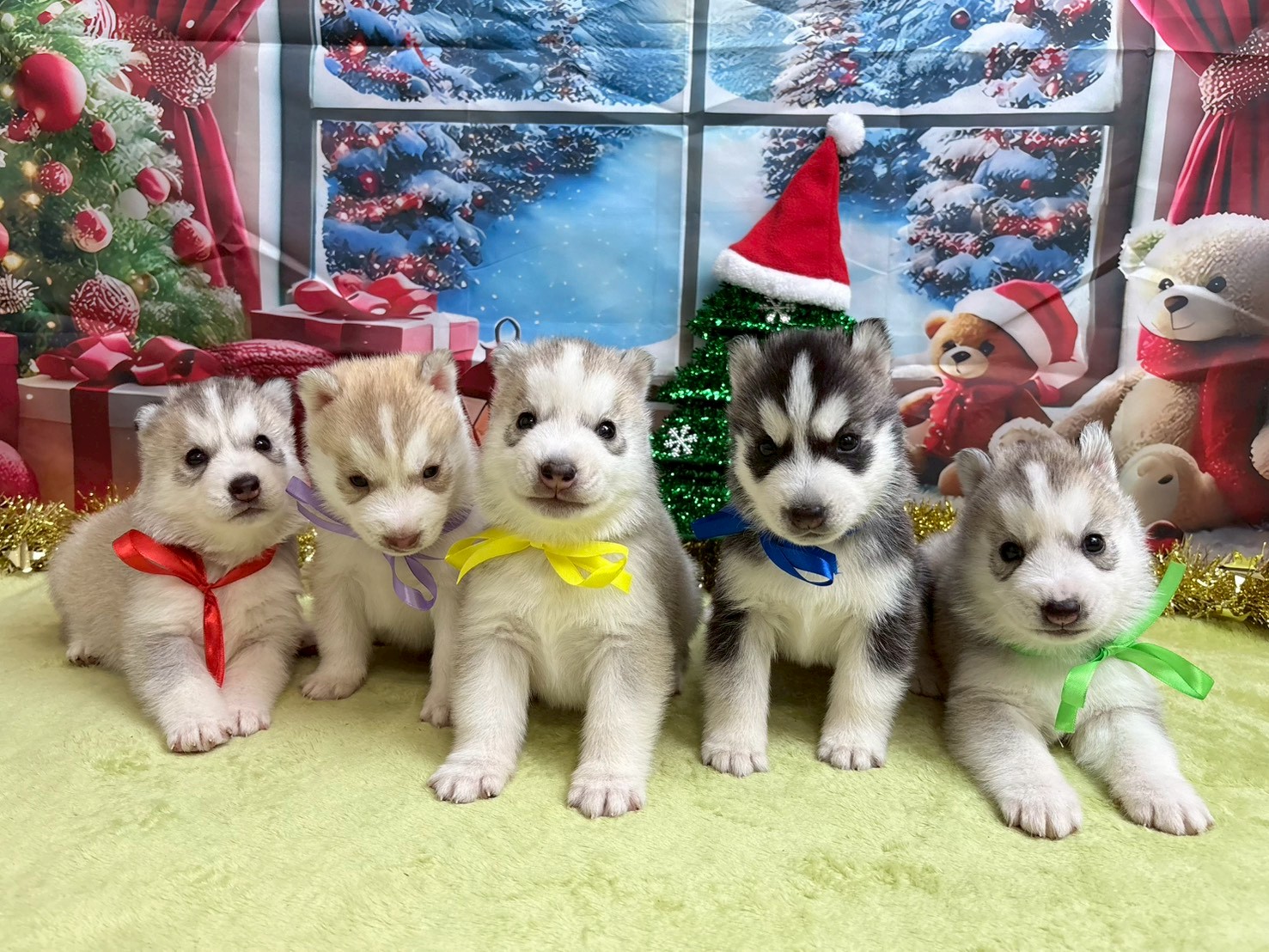 赤ちゃん写真2-3