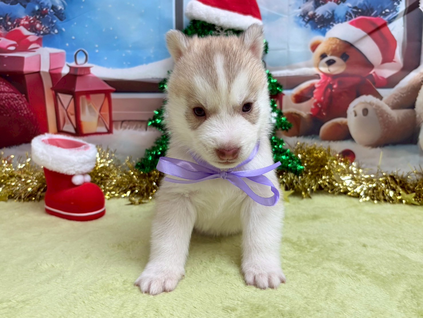 赤ちゃん写真2-1