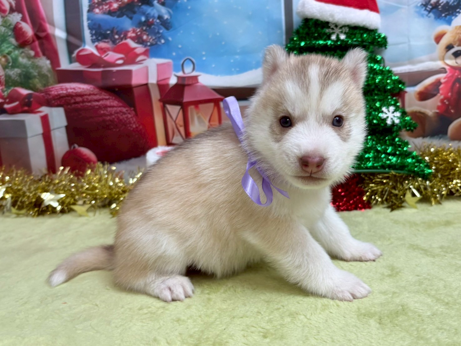 赤ちゃん写真2-2