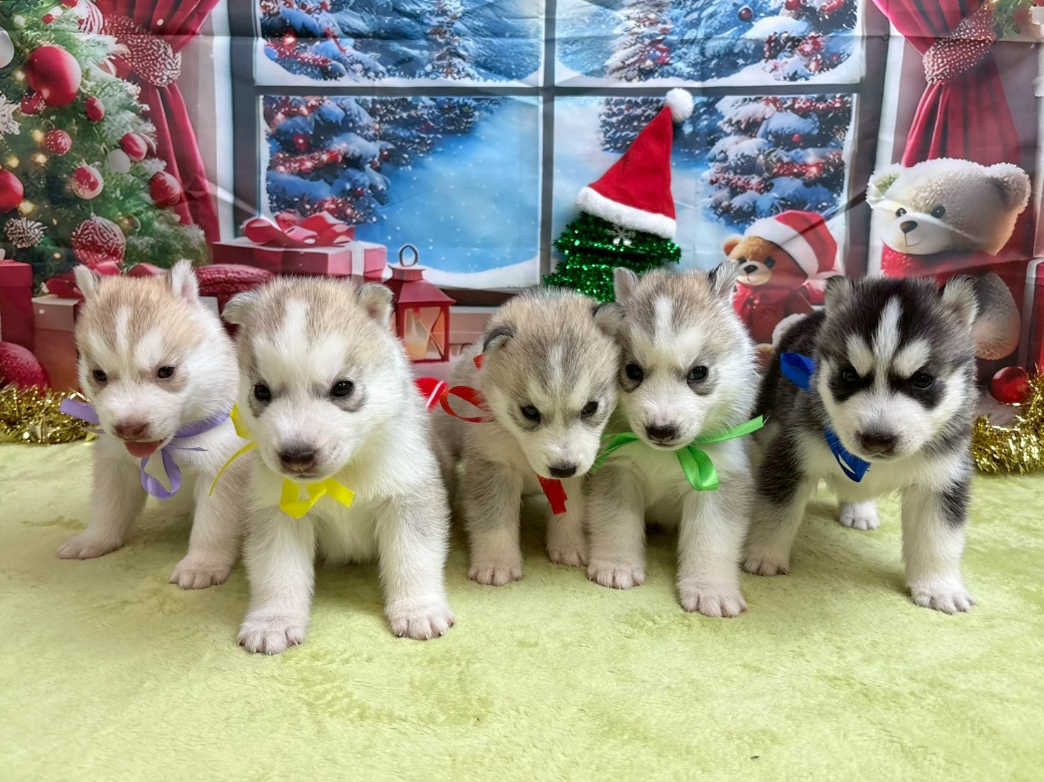 赤ちゃん写真2-3