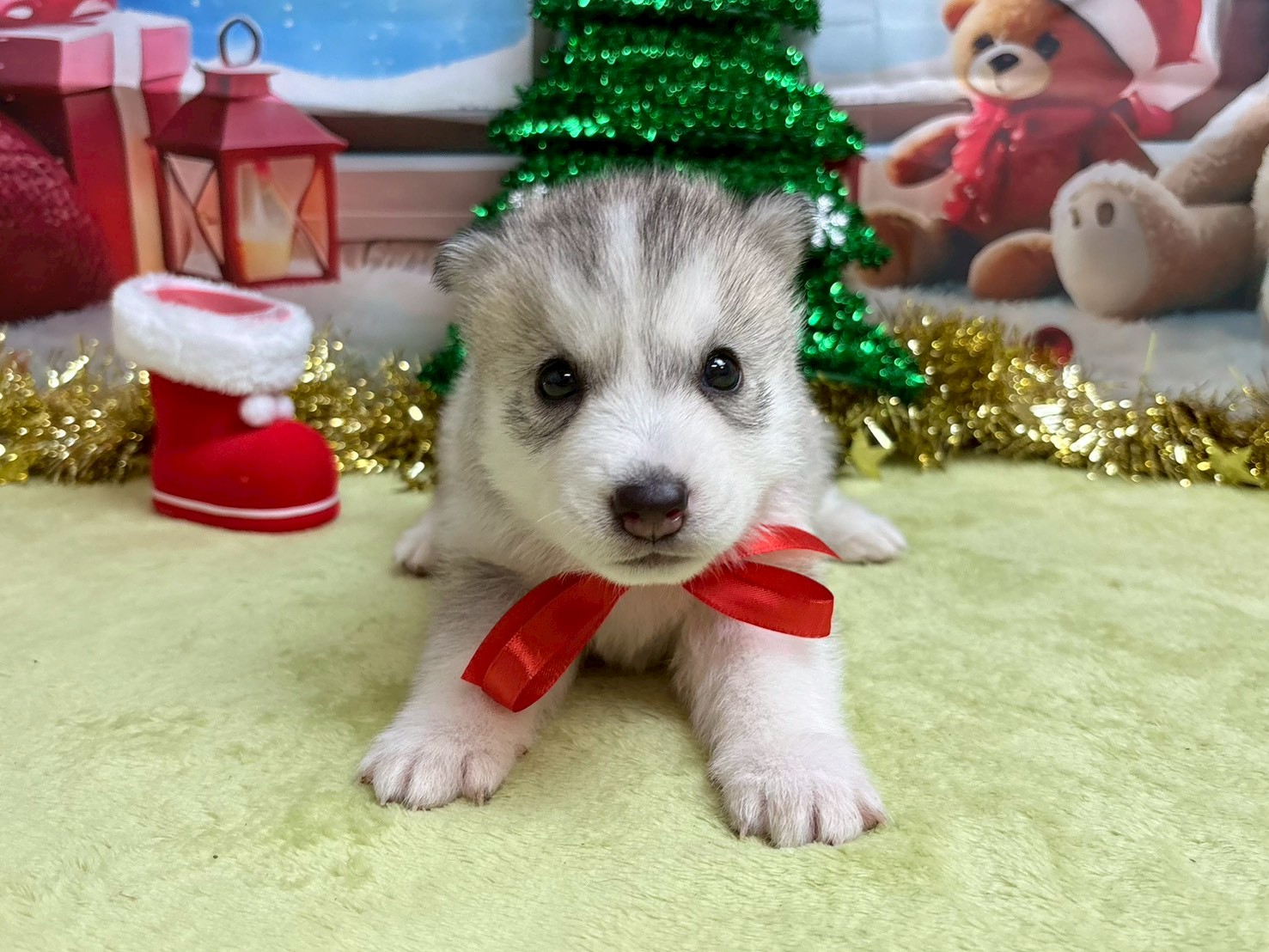 赤ちゃん写真2-1