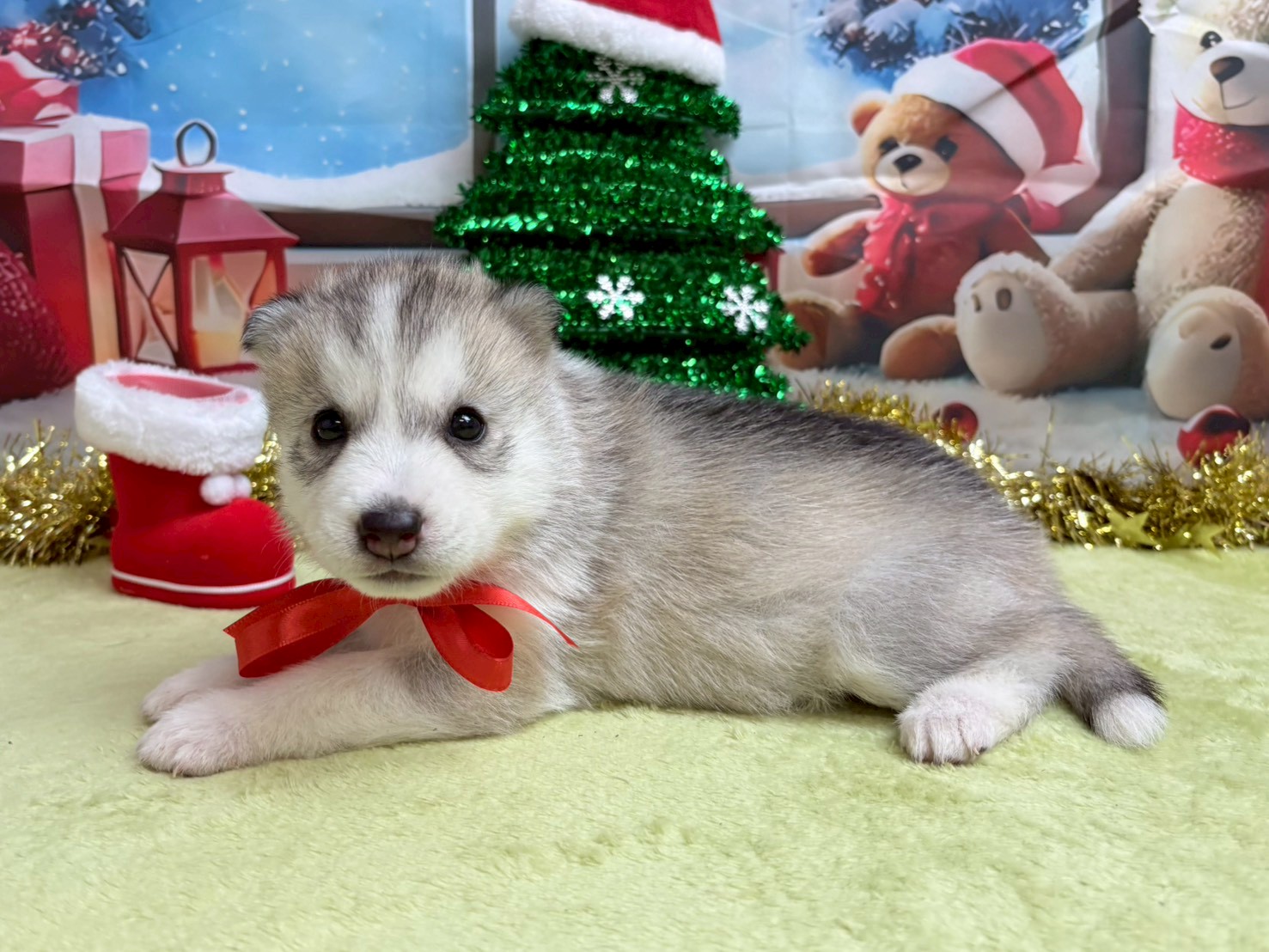 赤ちゃん写真2-2