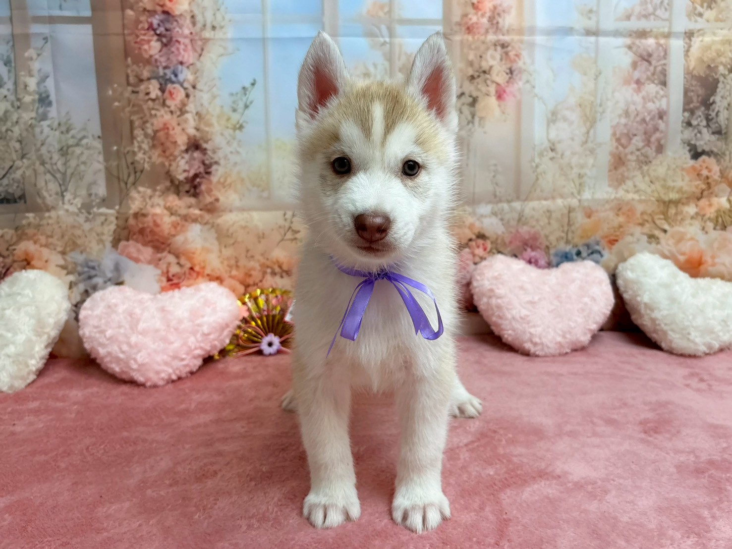 赤ちゃん写真3-1