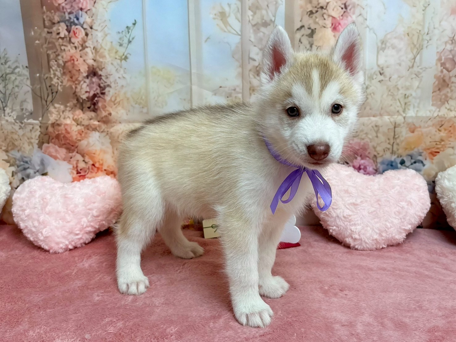 赤ちゃん写真3-2