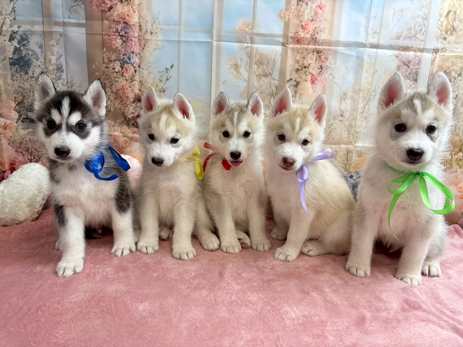 赤ちゃん写真3-3