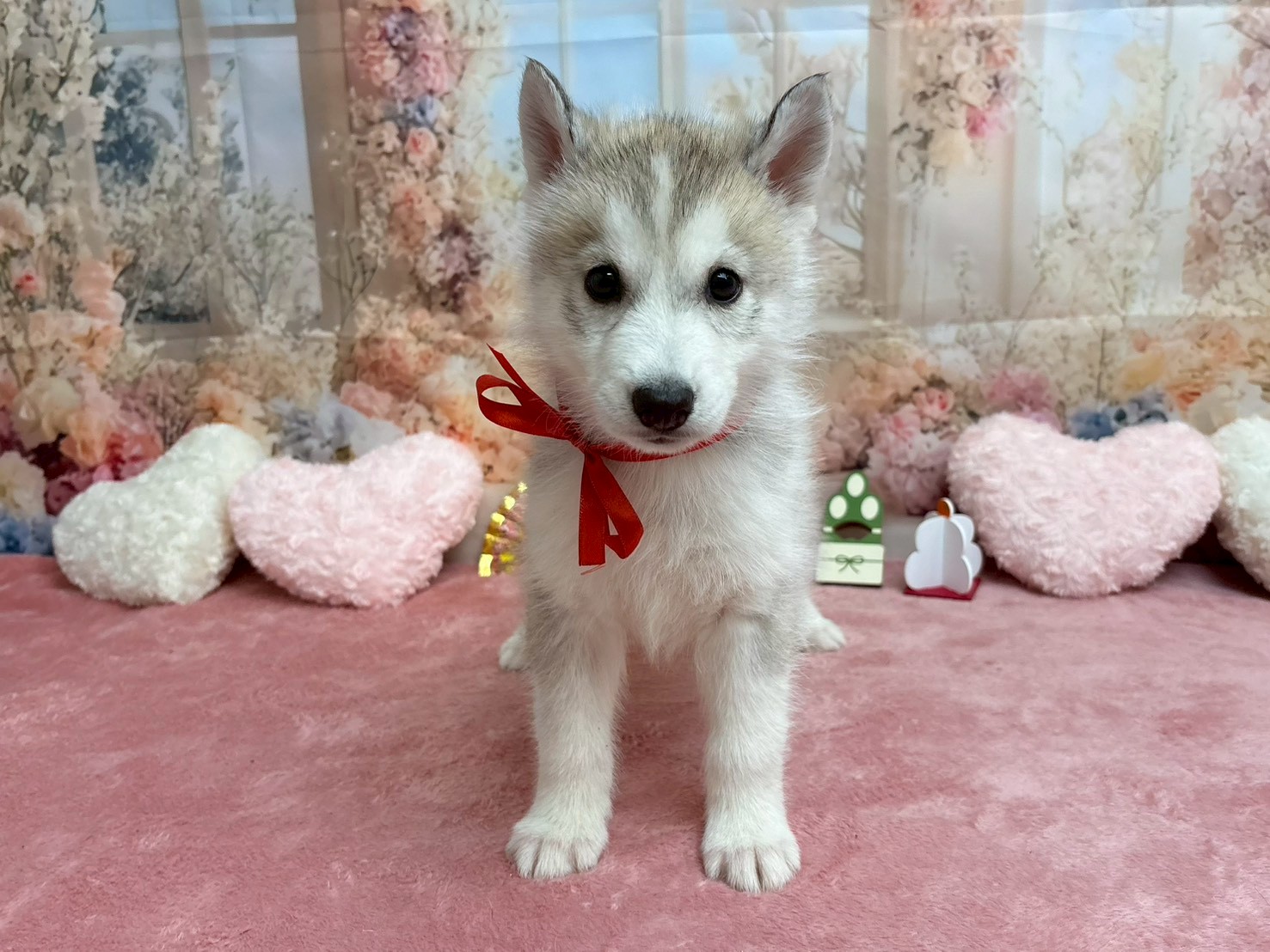 赤ちゃん写真3-1