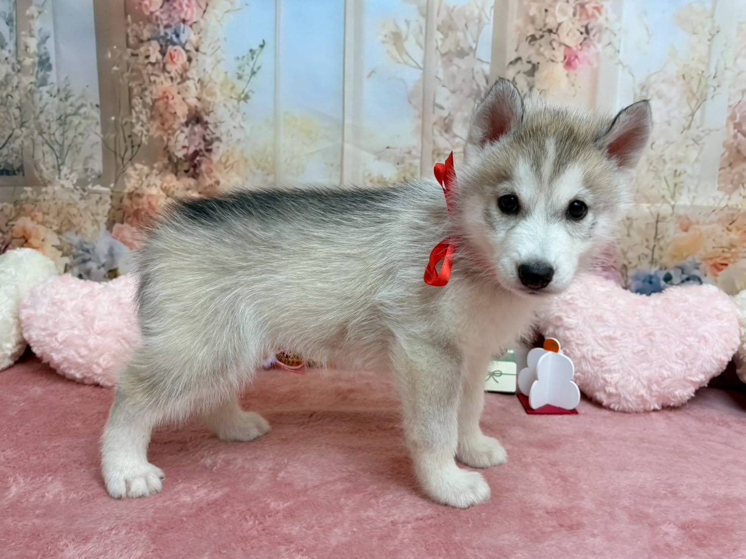 赤ちゃん写真3-2