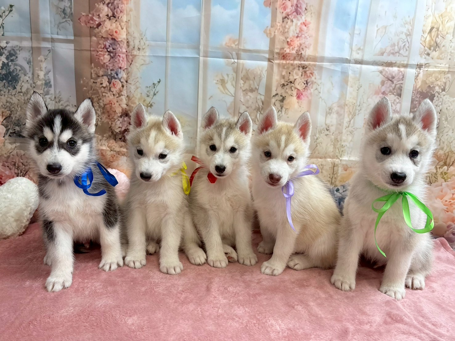 赤ちゃん写真3-3