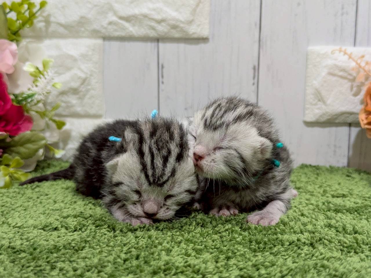 赤ちゃん写真1-3