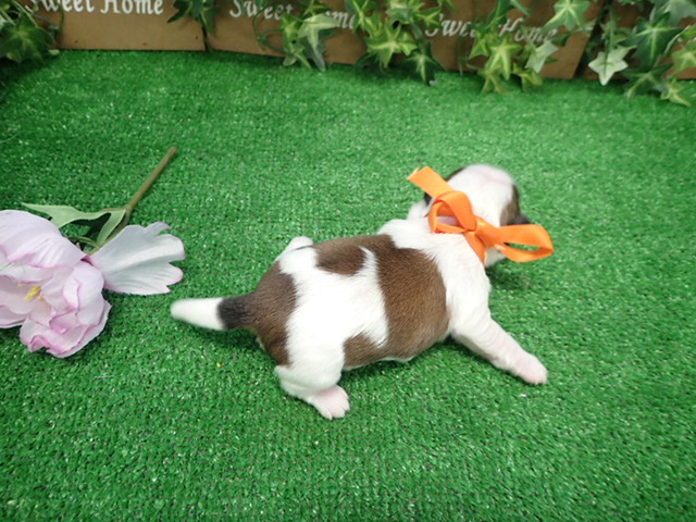 赤ちゃん写真1-3