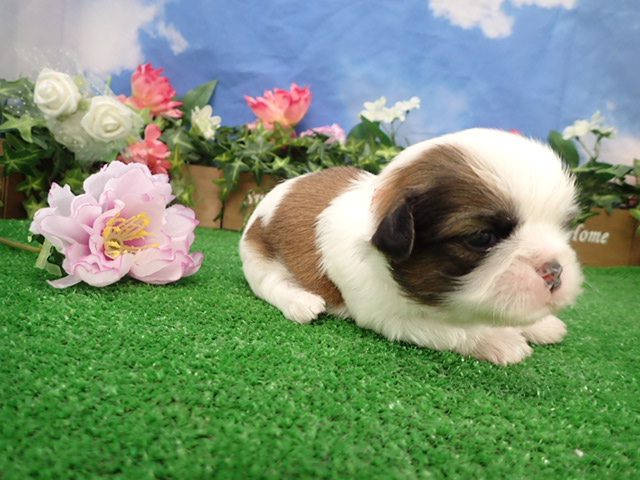 赤ちゃん写真2-2