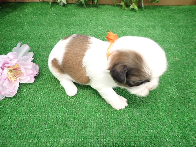 赤ちゃん写真2-3