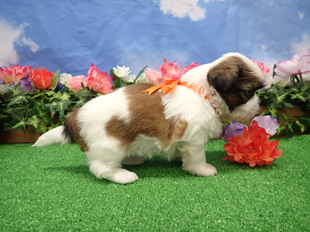 赤ちゃん写真3-2