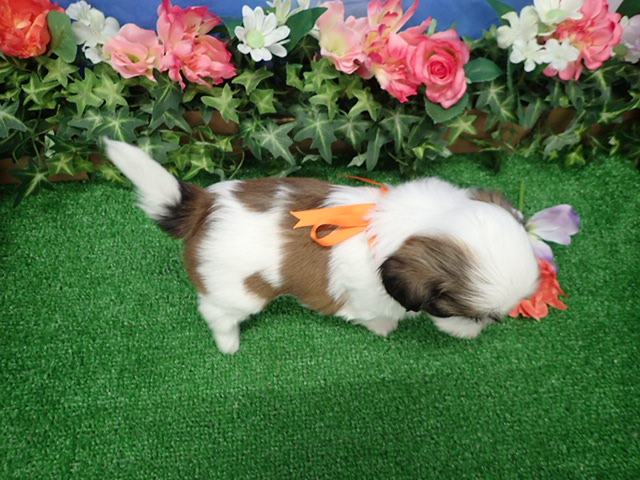 赤ちゃん写真3-3