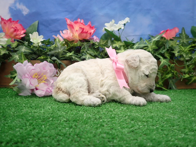 赤ちゃん写真2-2