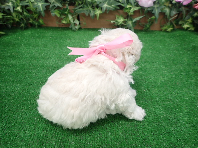 赤ちゃん写真3-3